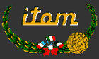 Itom logo 100.jpg