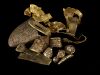 Pieces in the Staffordshire hoard