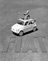 Fiat nuova 500 (1).jpg